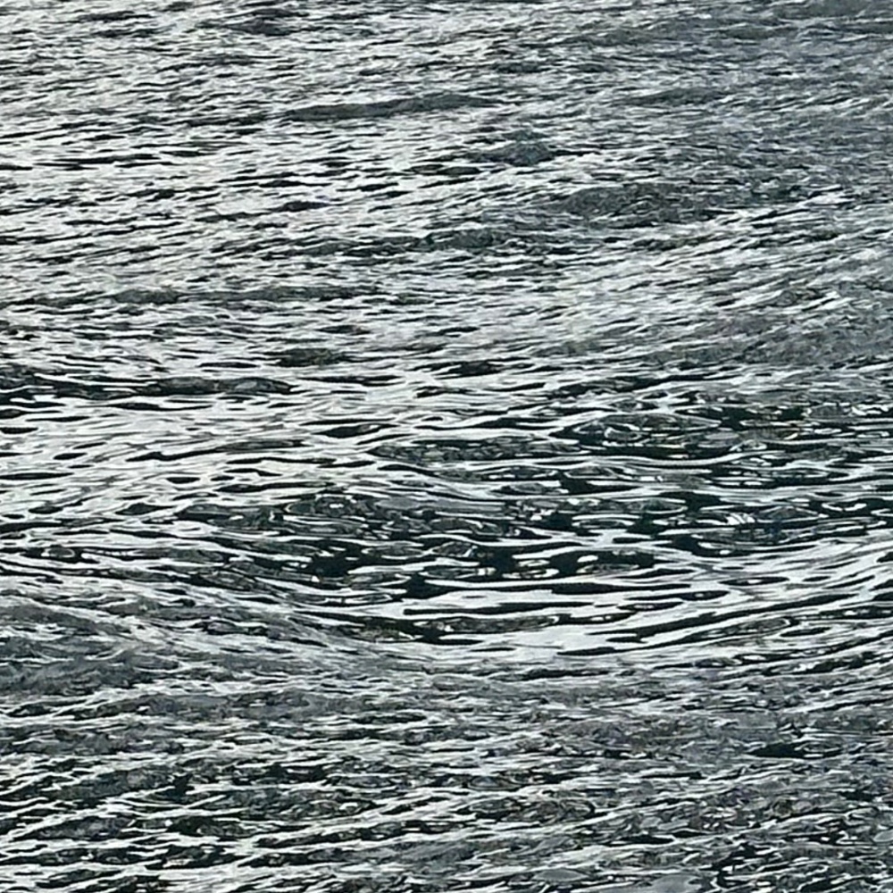 Authentic Dooney and Bourke bag